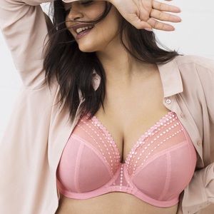 Elomi NEW Matilda Plunge Bra Rose 36M